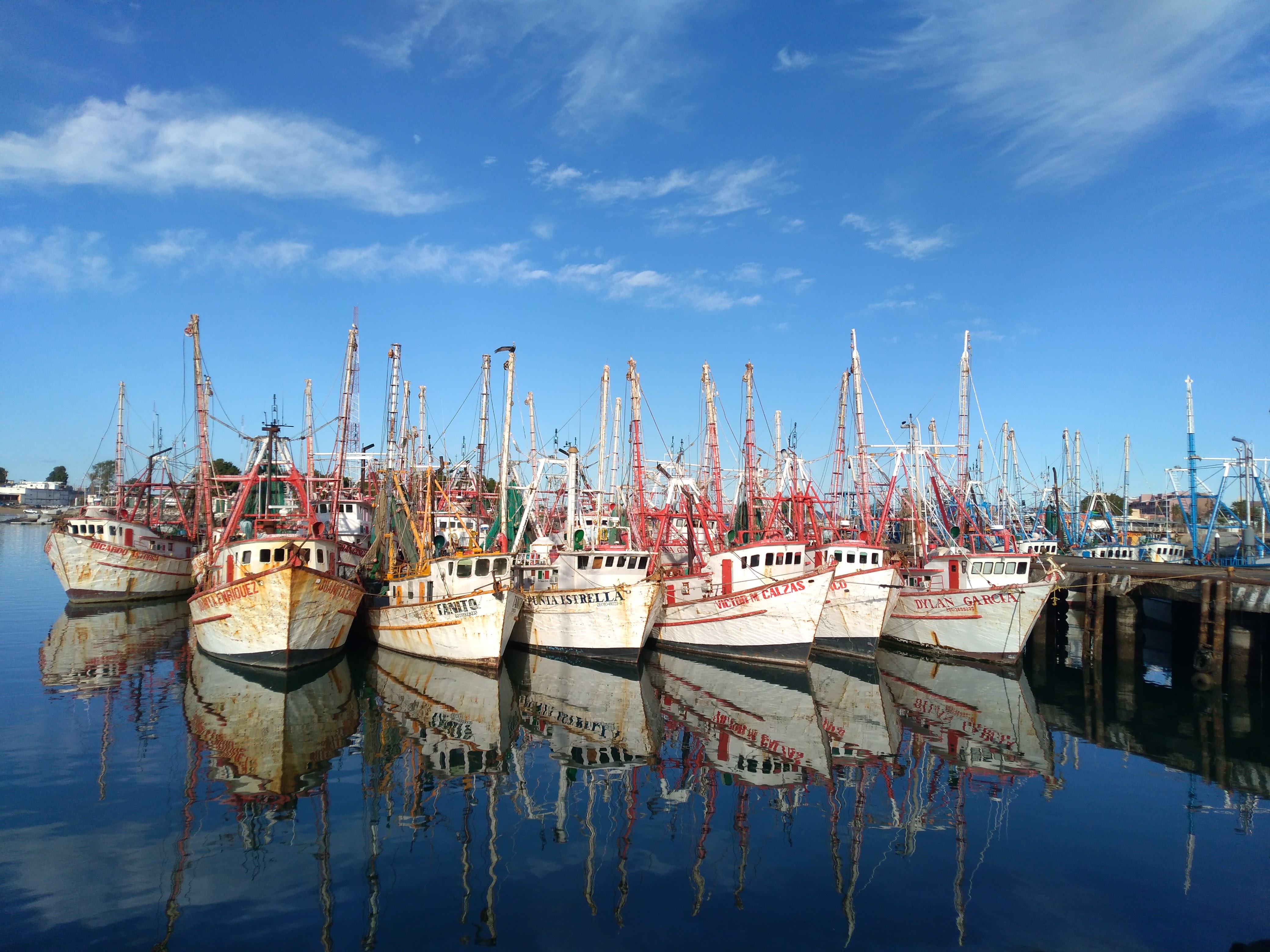 Actual fishing harbor and boats in Puerto Peñasco