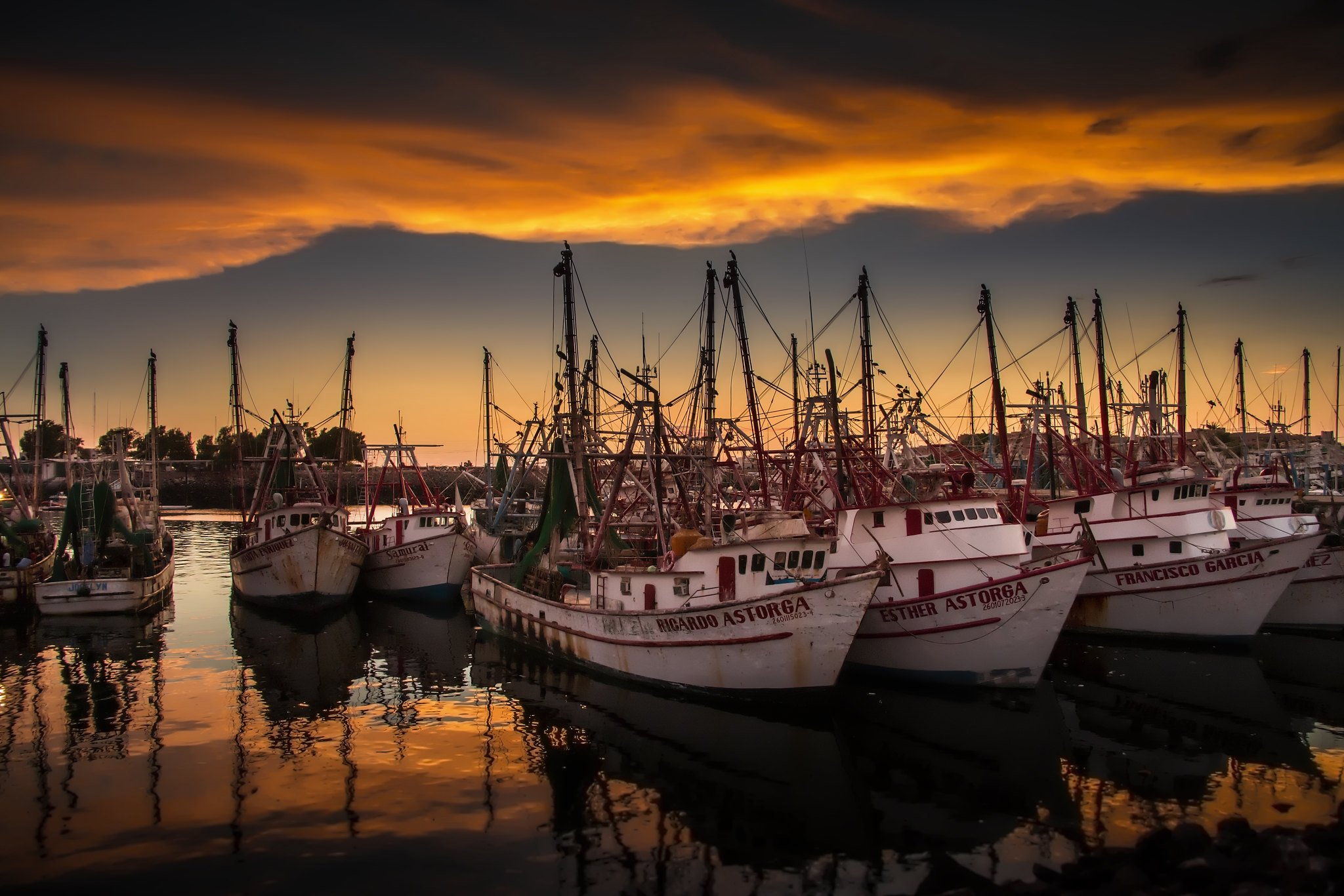 Fishing boats in Puerto Peñasco's harbor at sunset