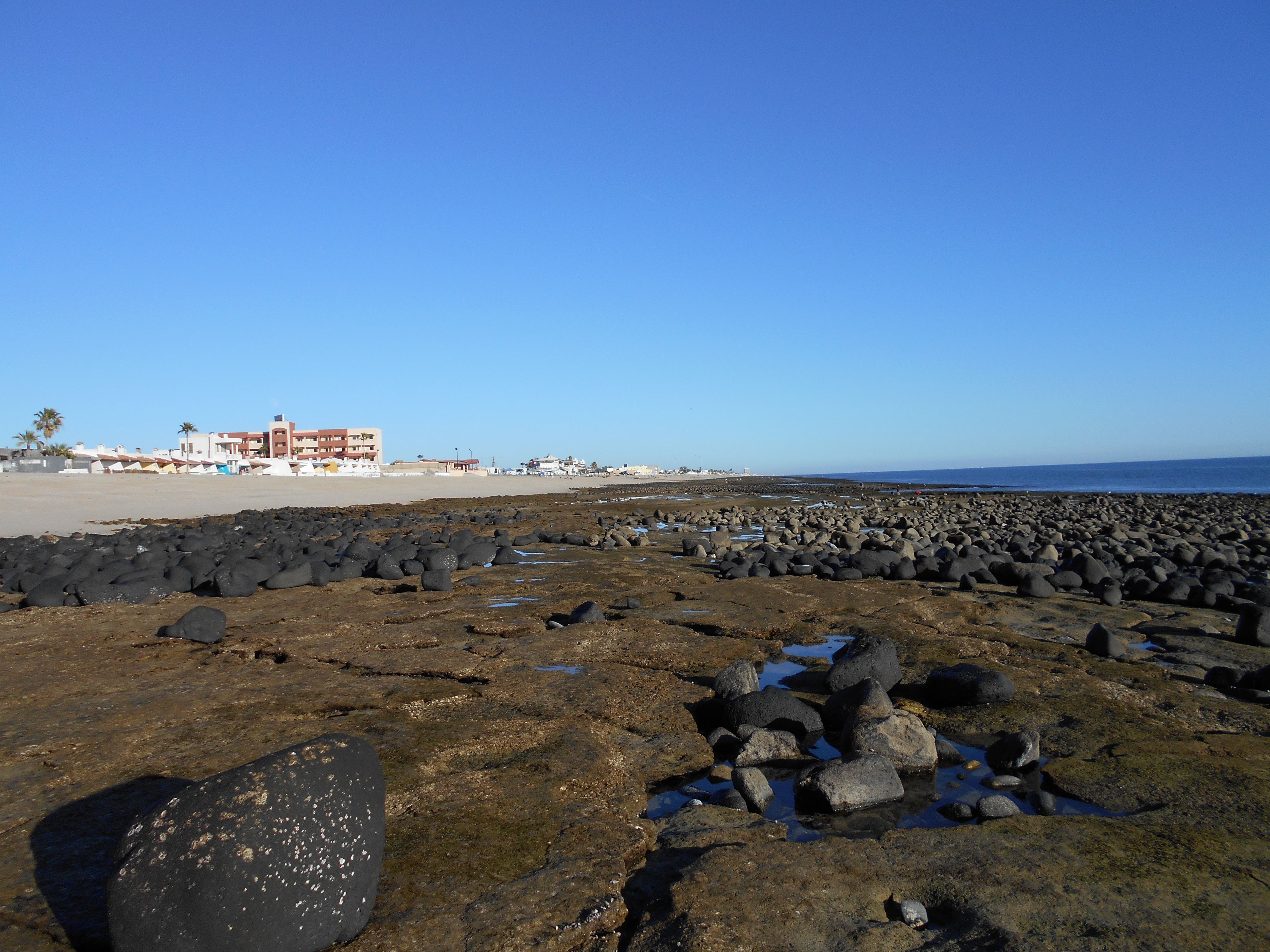 Costa de Puerto Peñasco con rocas expuestas durante la marea baja