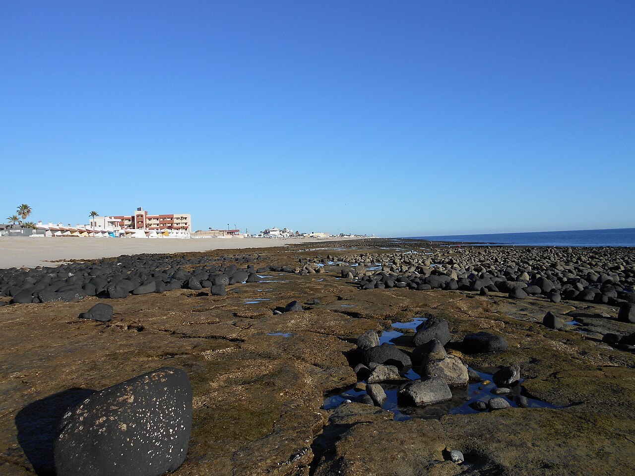 Rocky Puerto Peñasco shoreline and tide pools at low tide