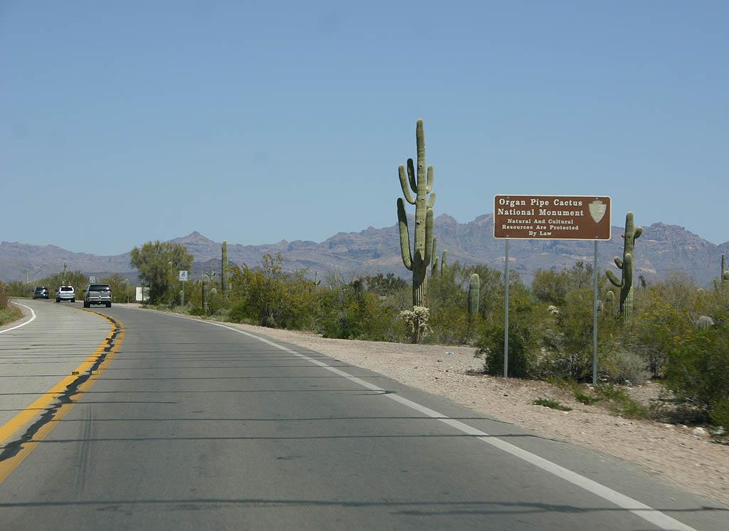 Ruta Estatal 85 de Arizona en Organ Pipe Cactus National Monument durante el viaje de Phoenix a Rocky Point