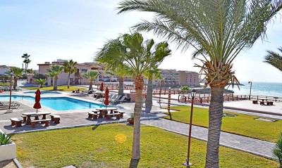 Pool, lawns, palms, and the Sea of Cortez
