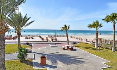 Palm-lined picnic area beside the ocean