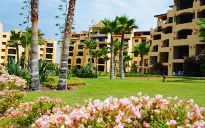 Landscaped beachfront gardens