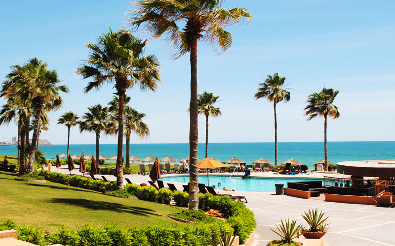Palm gardens and pool deck